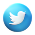 Twitter X Growth